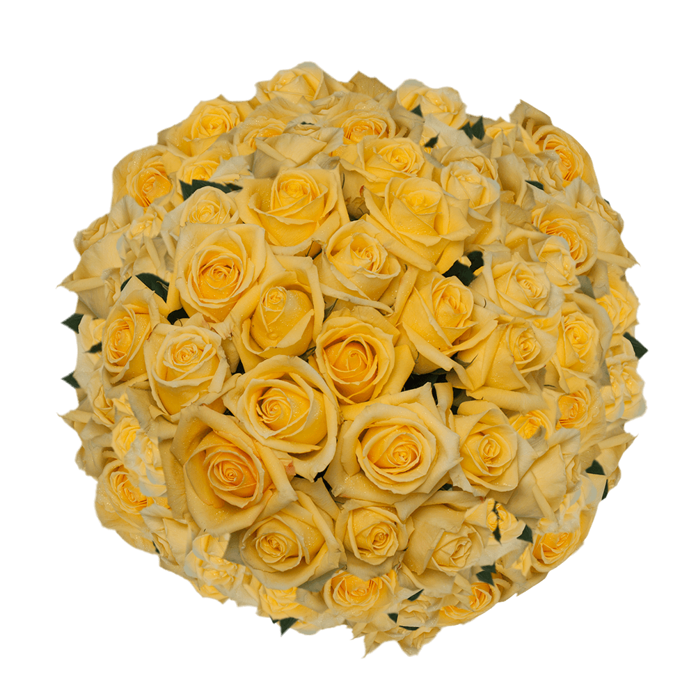 Wholesale Flowers Bright Yellow Mohana Roses
