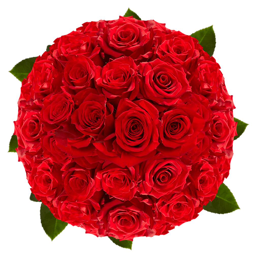 Wholesale Flowers Red Roses Special