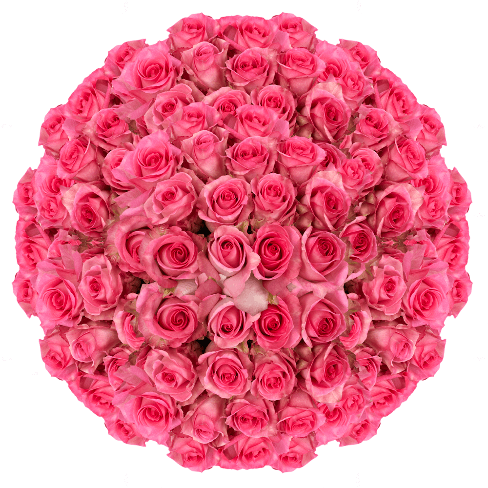 Wholesale Pink Wedding Roses