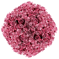 (4HB) 1000 Rose Sht Lavender 40 Bunches For Delivery to Mission_Viejo, California