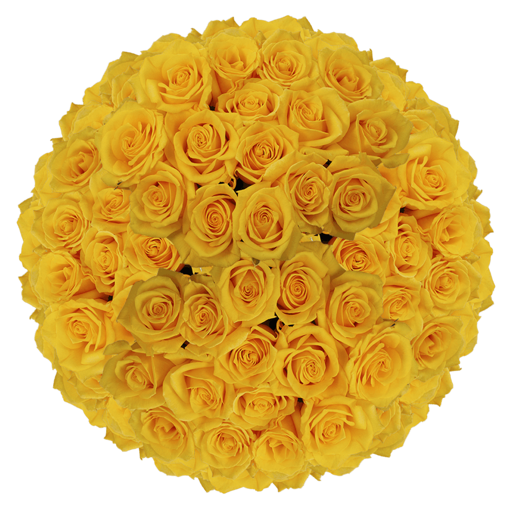 Wholesale Solid Yellow Color Roses Flower Delivery