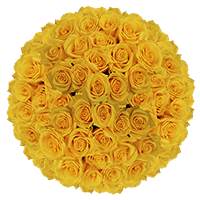 (3HB) 750 Rose Sht Solid Yellow 30 Bunches For Delivery to Calexico, California