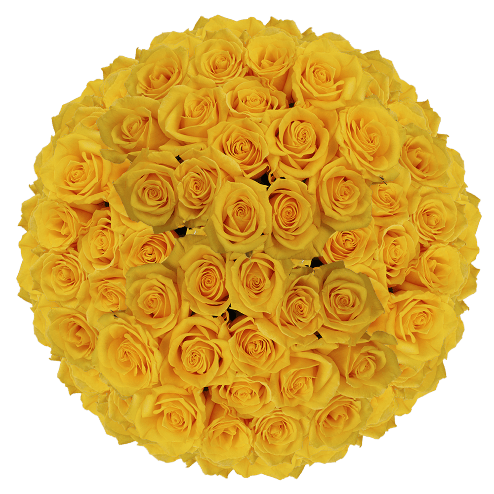 Wholesale Solid Yellow Color Roses Flowers For Sale