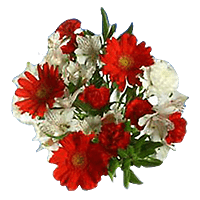 Premium Hydrangea Bridal Bouquet