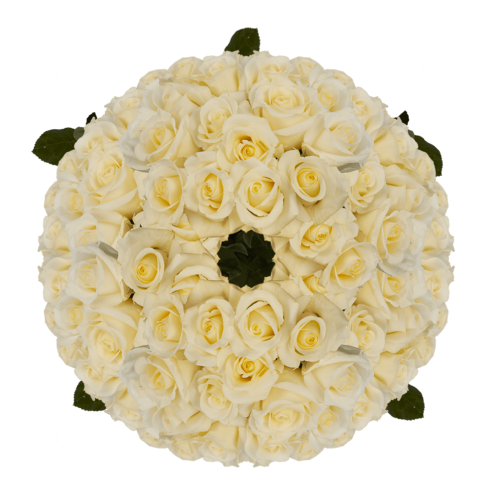Wholesale White Roses for Sales