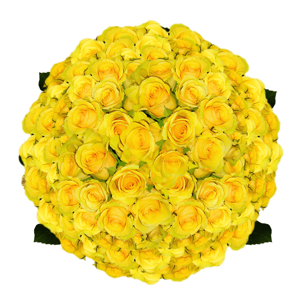 Wholesale Yellow Roses Big Bouquet of Yellow Roses Find Rose Flowers