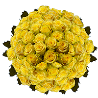 200 Stems of Light Yellow, Yokohama Roses