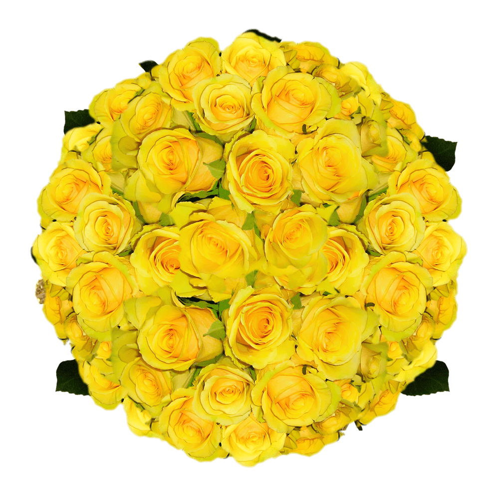 Yellow 100 Roses to Send Order Roses Online Find Best Roses