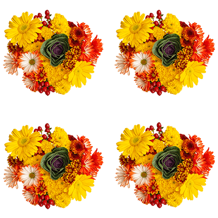(QB) Arrangement Indian Summer