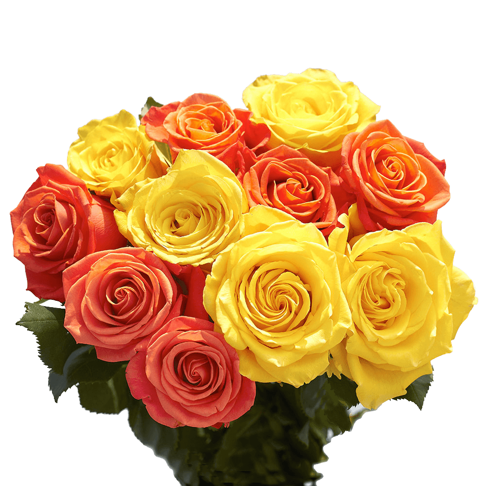 Yellow and Orange Roses for Next Day Delivery