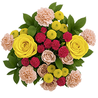 8 Umbrella Arrangements
