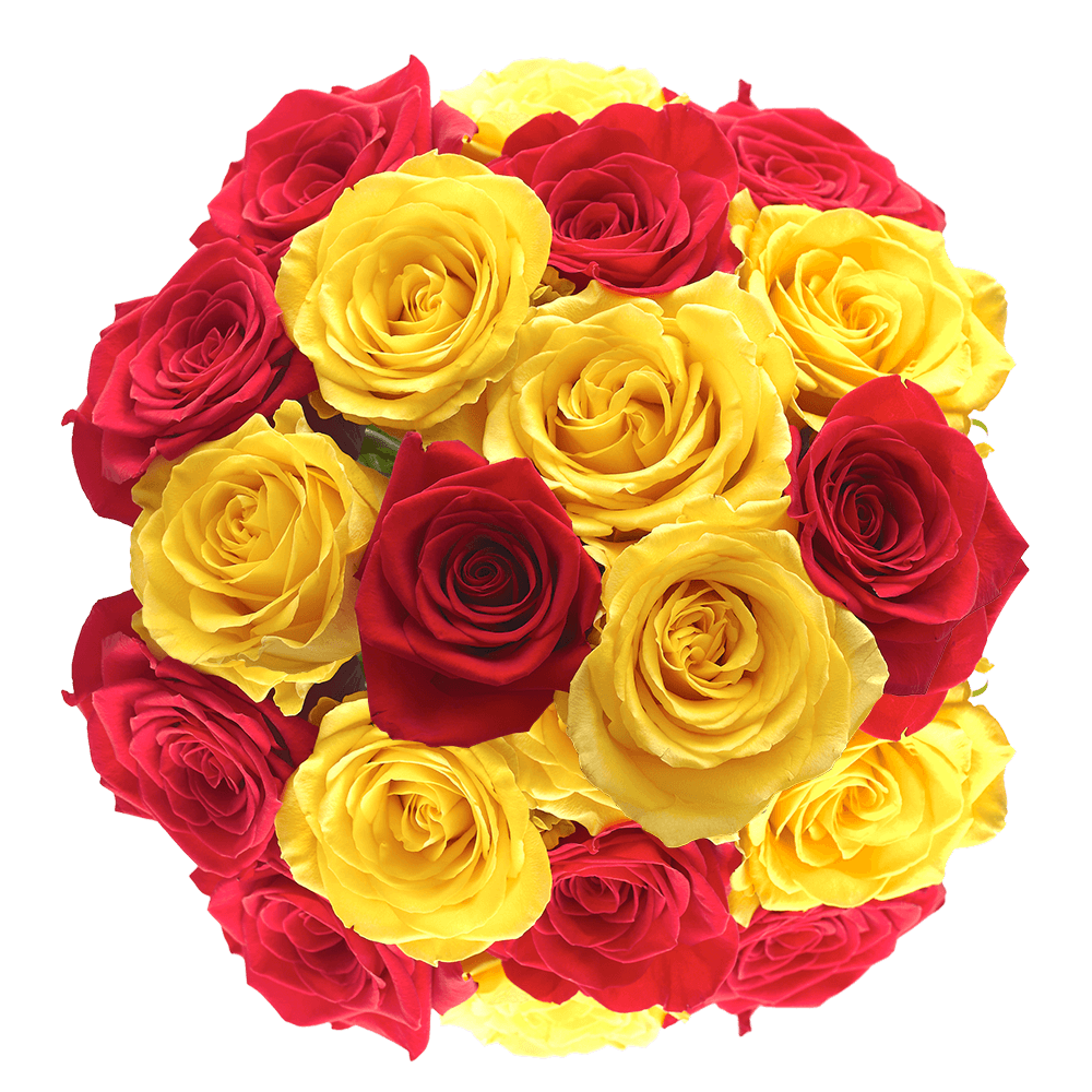 Yellow and Red Roses Fifty Stems
