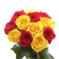 Rose Sht DC: Yellow 1, Red 1 (OC) [Include Flower Food] (OM) For Delivery to Monroe, North_Carolina