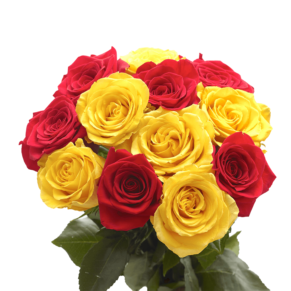 Yellow and Red Roses Next Day Delivery