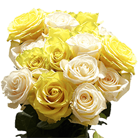 Rose Sht DC: Yellow 1, White 1 (OC) [Include Flower Food] (OM) For Delivery to Cleveland, Ohio