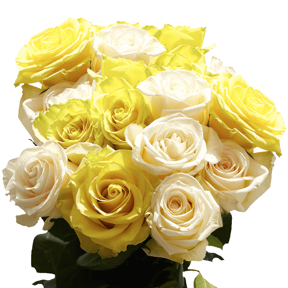Yellow and White Next Day Flowers Delivery