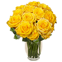 (OC) Golden Beauty 36 Yellow Roses with Vase For Delivery to West_Virginia