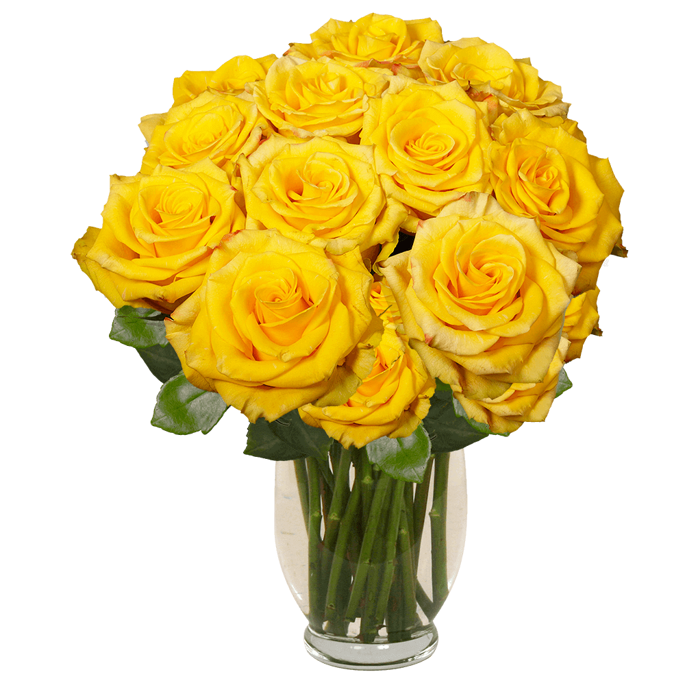 Yellow Bouquet Yellow Roses with Vase