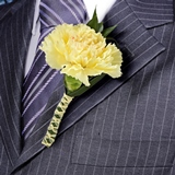 2-bt-carn-yellow-RB-yellow