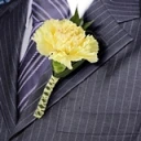 2-bt-carn-yellow-RB-yellow