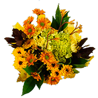 (HB) Arrangement Yellow Fall Flowers 16 For Delivery to Brookings, South_Dakota