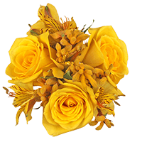 (QB) CP Yellow Rose Kangaroo Alstro 8 Centerpieces For Delivery to Connecticut