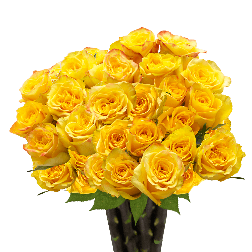 Yellow Roses Cheap Mother's Day Flowers