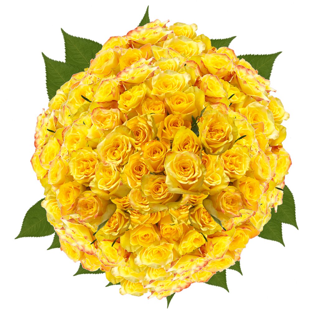 Yellow Roses Delivered for Mother's Day