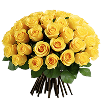 Qty of Mothers Day Yellow Roses For Delivery to Bowling_Green, Ohio