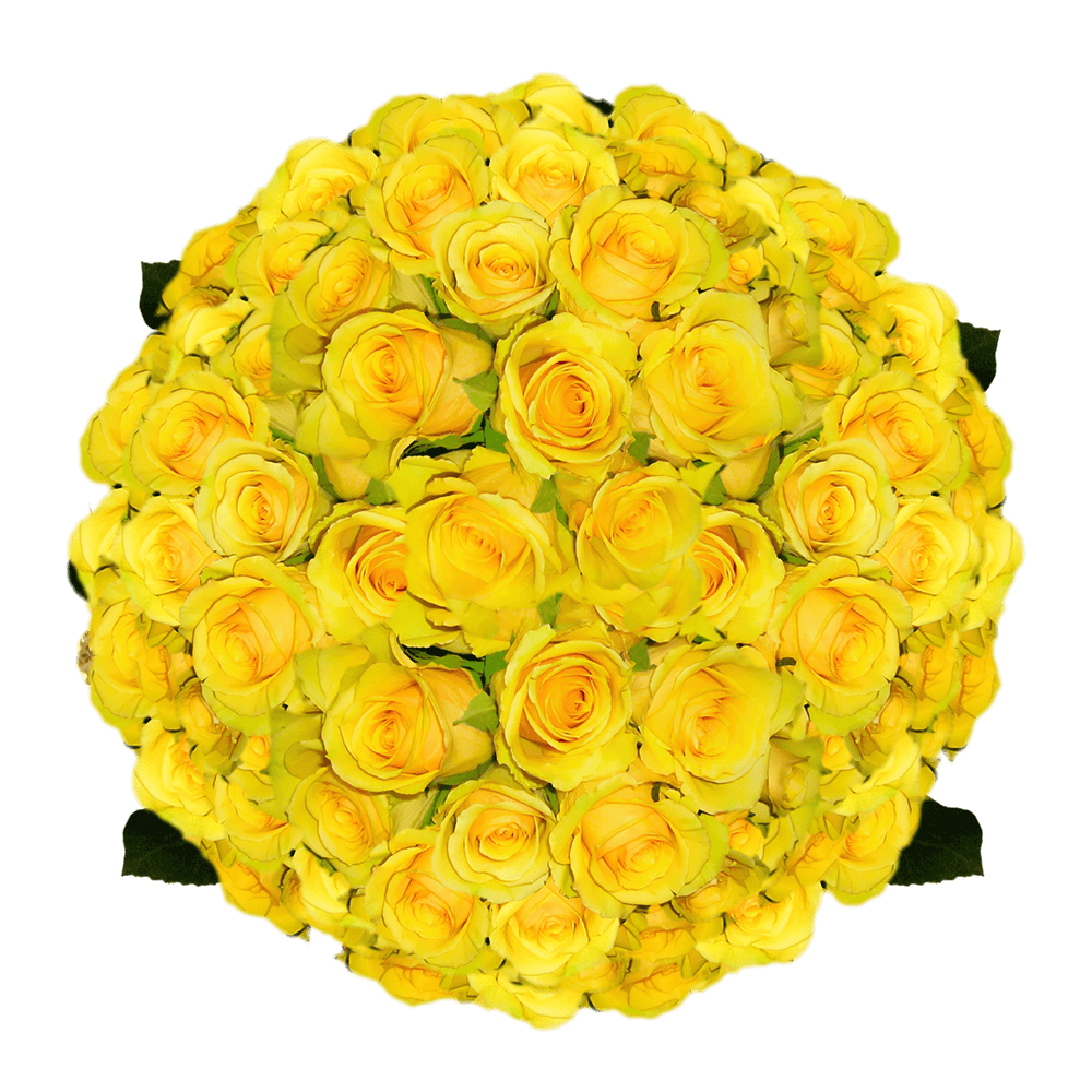 Yellow Roses Long Stem Ecuadorian Roses Wedding Centerpieces Roses
