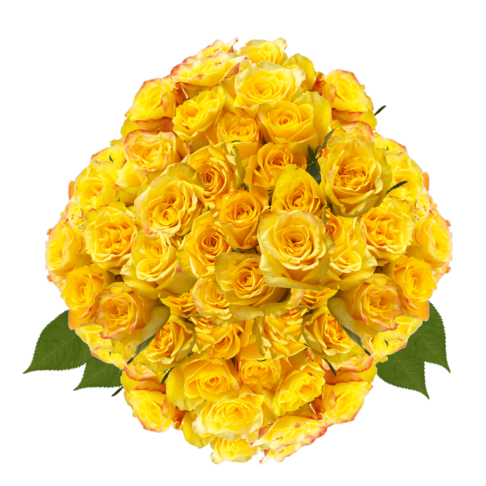 Yellow Roses Send Flowers For Mother's Day Cheap