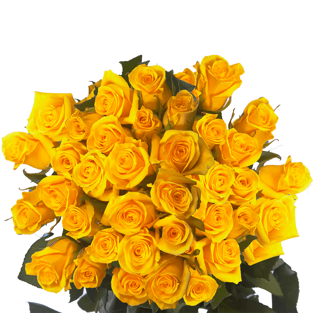 Yellow Roses Valentine's Day Flowers Special