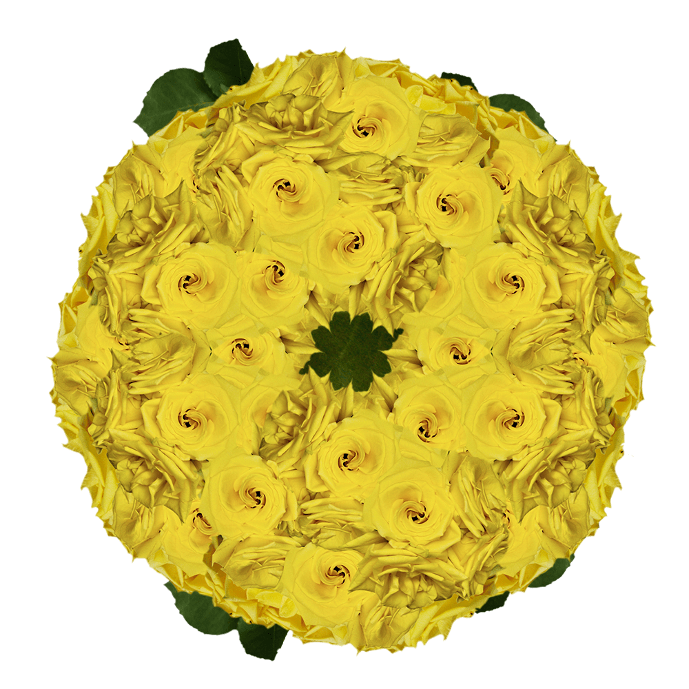 Yellow Roses Wholesale Buy Roses to Send Online Yellow Roses Delivery