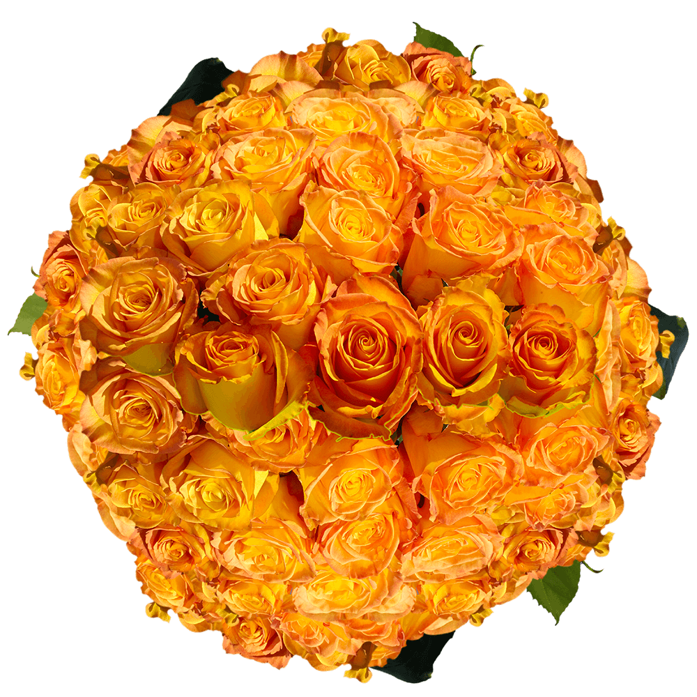 Yellow Roses with Orange Tips Delivered