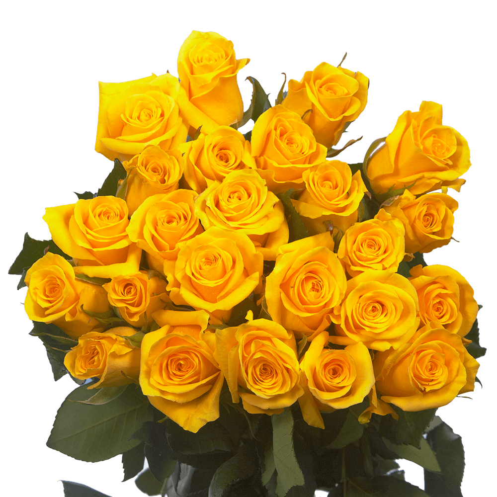 Yellow Valentine's Day Roses Online Sale