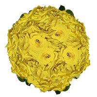 (HB) Rose Med Yellow Coral For Delivery to Rocky_Mount, North_Carolina