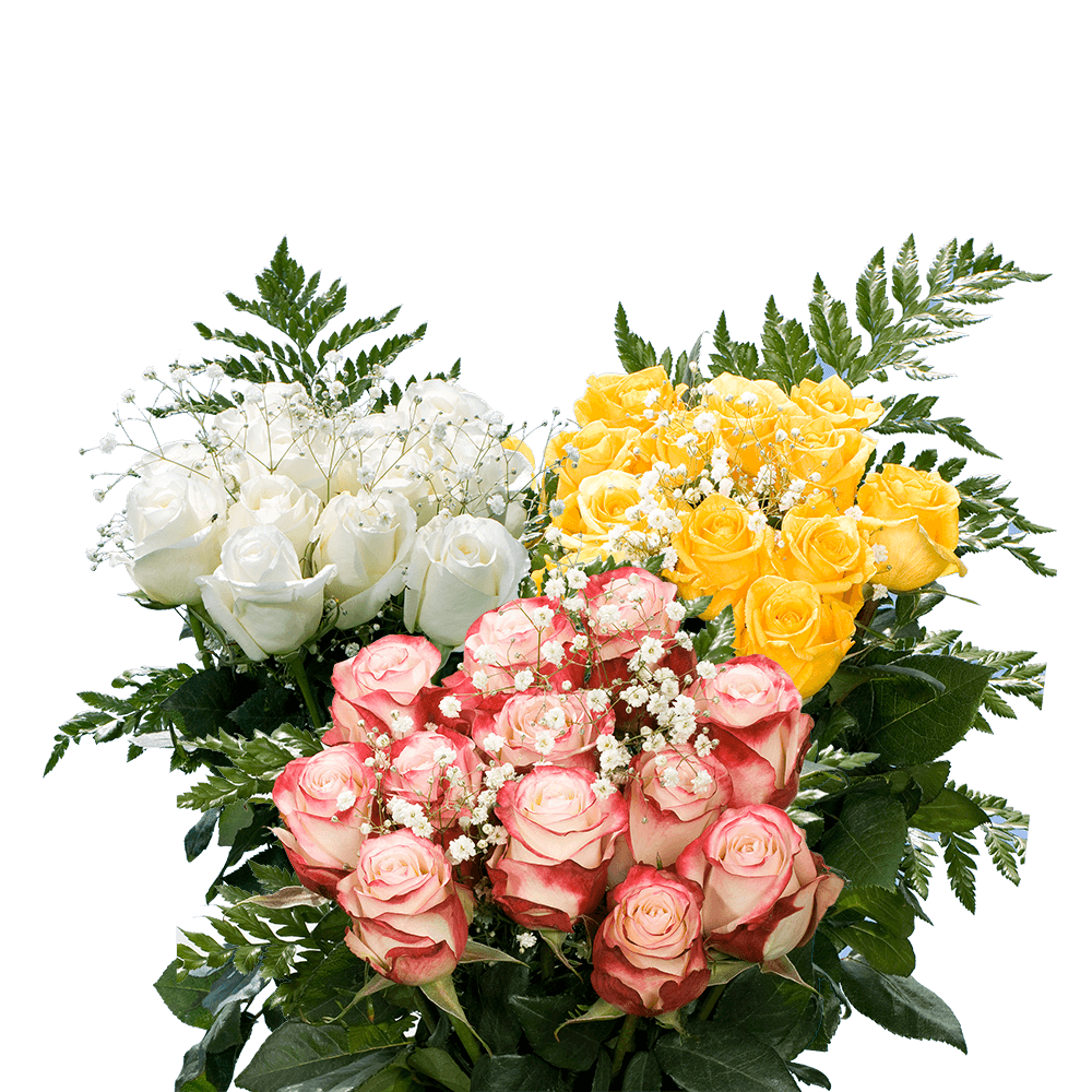Qty of Dozen Your Choice Color Roses For Delivery to Faqs.Html, Nevada