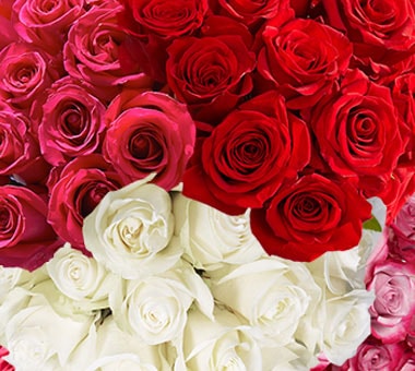 Subscription Products