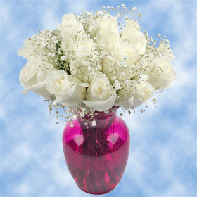 color tones for all white roses with babys breath centerpieces may vary due to the computer monitor andor mother nature - White Garden Rose color tones for all white roses with babys breath centerpieces may vary due to the computer monitor andor mother nature - White Garden Rose