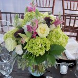 WC D.I.Y. Lovely: Bells Of Ireland 6, SnapDragon Burgundy 6, Hydrangeas Green 130, Green For Delivery to Murrieta, California