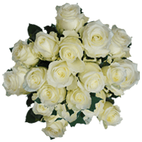 (QB) Rose Long Alpe Dhuez White For Delivery to Morganton, North_Carolina