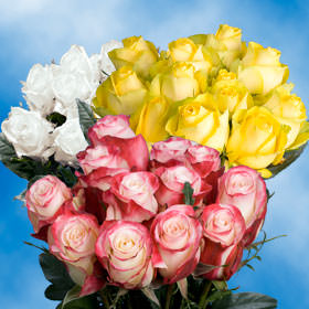 36 Assorted Color Roses