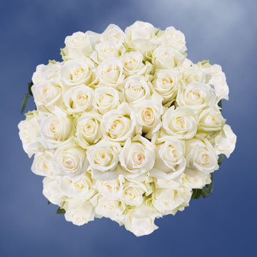 Beautiful Off White Roses with a Creamy Yellow Center Delivered Fresh ...