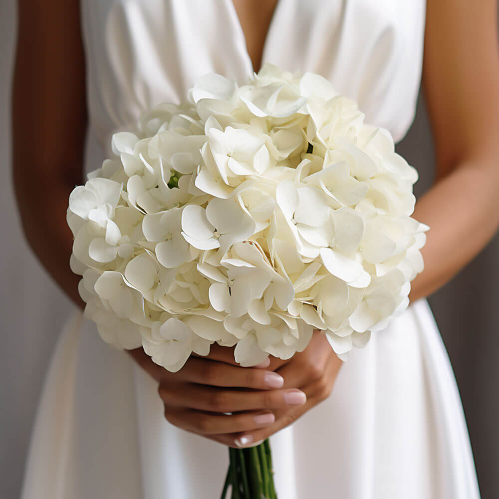 (BDx20) White Hydrangea Bridesmaids Bqt 6 Bouquets For Delivery to Monroe, Michigan