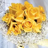 (DUO) Bridal Bqt Classic Yellow Roses For Delivery to Niagara_Falls, New_York
