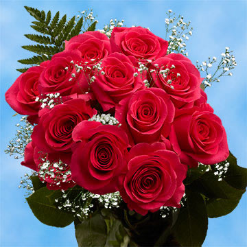 Best Dozens of Assorted Colored Roses Fillers | GlobalRose