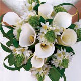 (DUO) Bridal Bqt Calla Lilies and Star of Bethlehem For Delivery to Urbana, Illinois