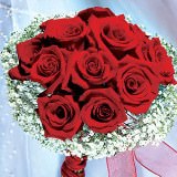 (DUO) Bridal Bqt 13 Red Roses and 10 Gypsophila For Delivery to New_Paltz, New_York