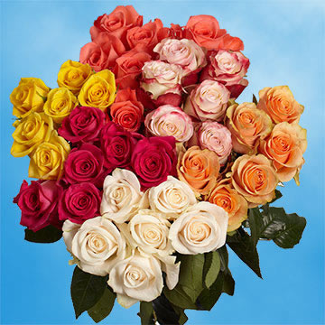 Buy Colored Roses | GlobalRose