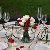 (BDx20) CP Romantic Red and White Roses 6 Centerpieces For Delivery to Mentor, Ohio